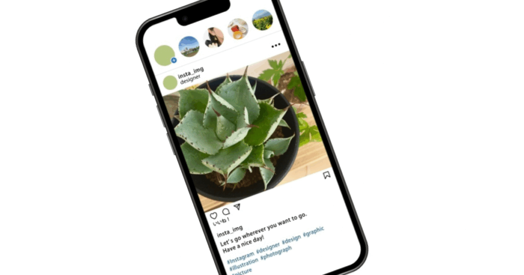 Instagram投稿のイメージ